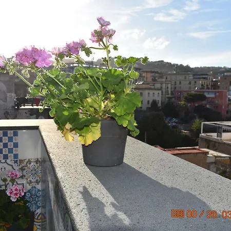 Casa Materdei Apartment Naples