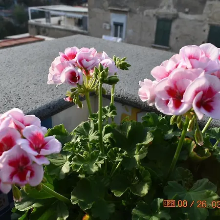Apartment Casa Materdei *